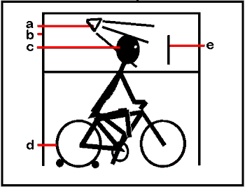 bike1.gif (4508 Byte)