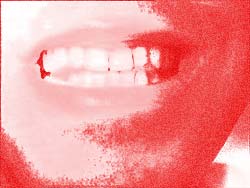 bild: impressionen robuehler