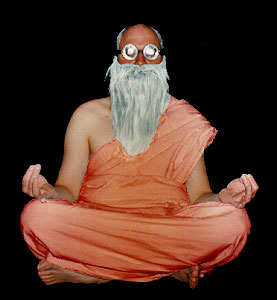 sehen und verstehen - guru telia savaresi igunu